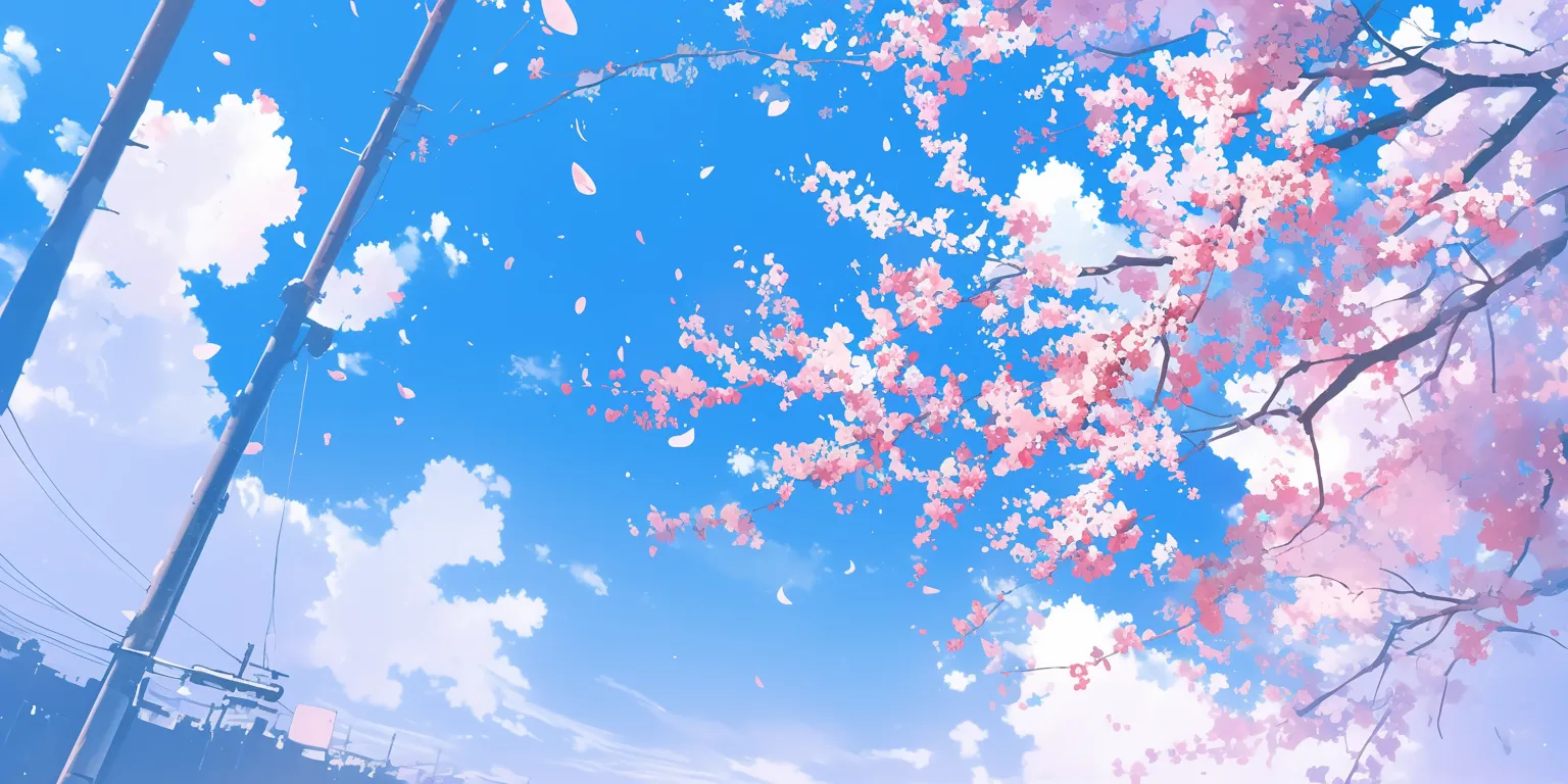 anime cherry blossom wallpaper sakura, 2560x1440, blossom, noragami, 3440x1440